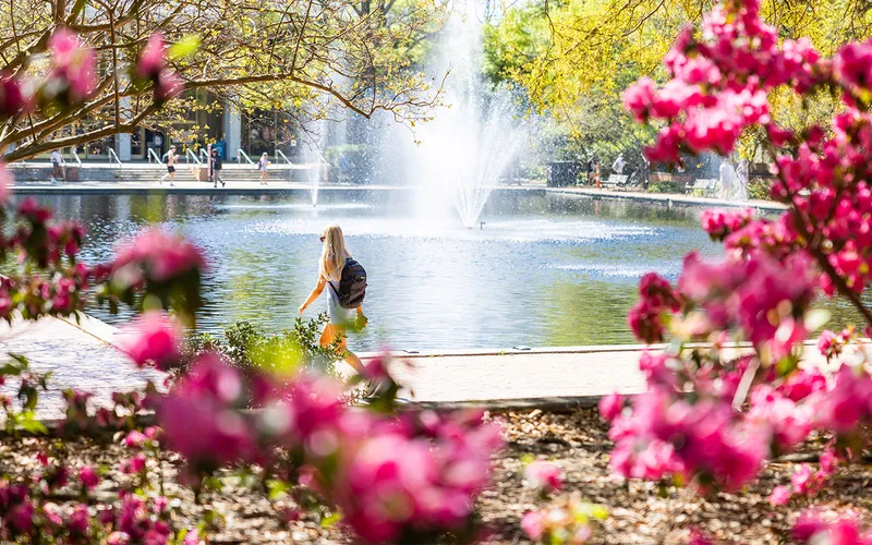 Campus of University of South Carolina