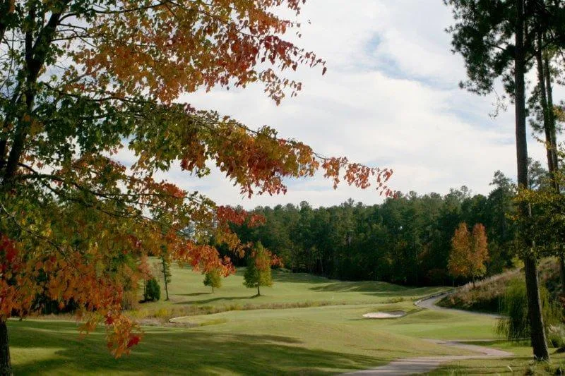 Photograph of Tara's eighteenth hole under autumn leaves with the fairway curving downhill