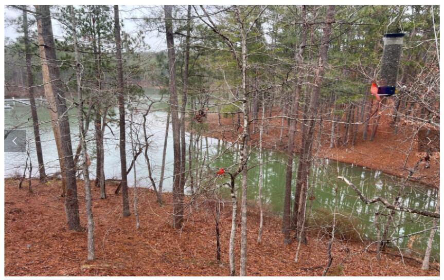 Listing photograph 24 of 307 Superior Cove