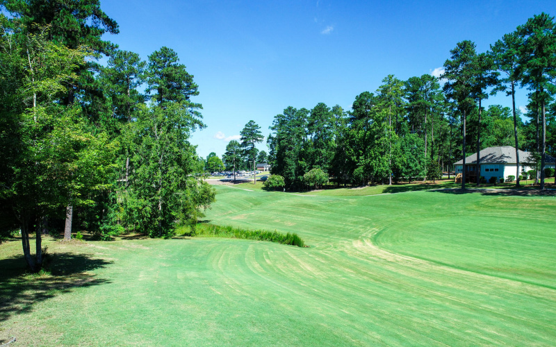 Course View