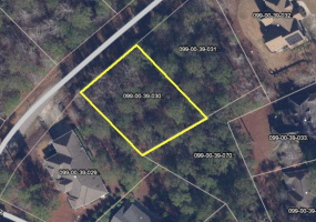 L30 B39 ANTIOCH DR, McCormick, South Carolina 29835, ,Land,For Sale,ANTIOCH DR,502400