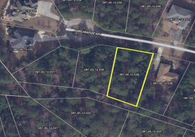 L29 B12 ALBEMARLE LN, McCormick, South Carolina 29835, ,Land,For Sale,ALBEMARLE LN,502398