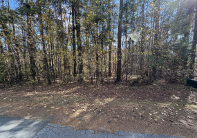 B54 L4 RHETT Drive, McCormick, South Carolina 29835, ,Land,For Sale,RHETT,536157