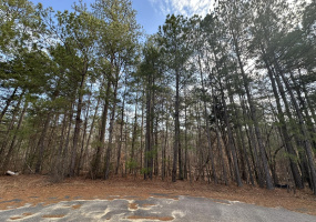 B63 L27 HALF MOON LANE, McCormick, South Carolina 29835, ,Land,For Sale,HALF MOON LANE,538408