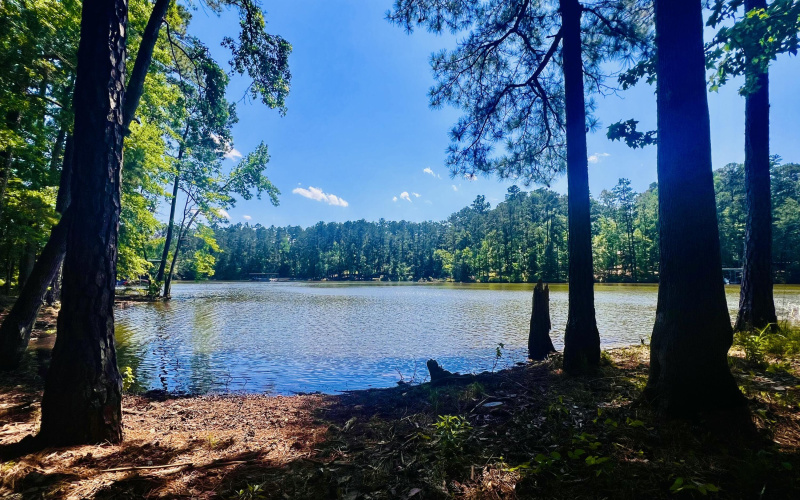 May 2025 STonebridge level lake access