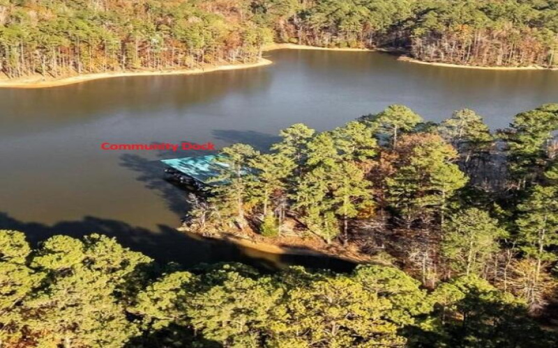 Community Dock Aerial View