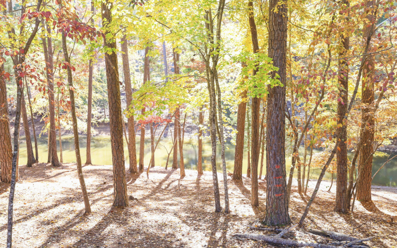 37-web-or-mls-37-IMG_4951