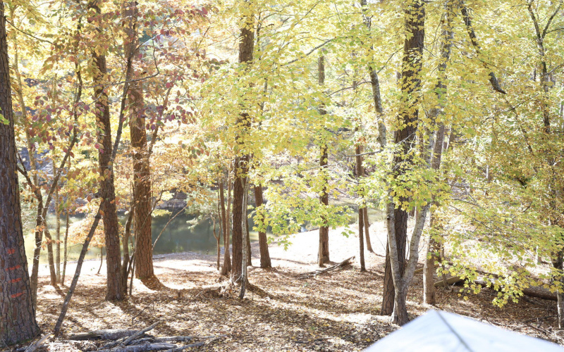 38-web-or-mls-38-IMG_4953