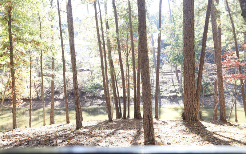 40-web-or-mls-43-IMG_4963